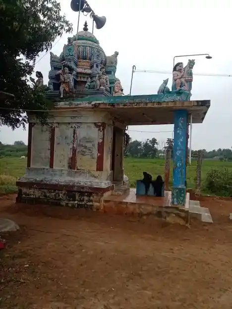 Arulmigu Selvavinayagar Temple, Thaanipatti - 630201 Temple