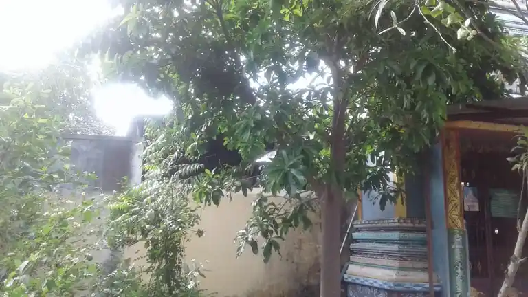 Arulmigu Selvavinayagar Temple, Thambipettai - 607302 Temple