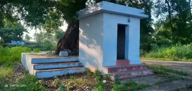 Arulmigu Selvavinayakar Temple, Somanuthu - 638656 அருள்மிகு செல்வவிநாயகர் திருக்கோயில், Somanuthu - 638656, Tiruppur - Ancient Temple Architecture and History Image 2