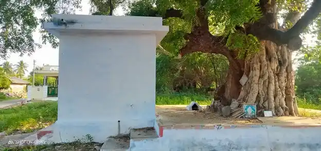 Arulmigu Selvavinayakar Temple, Somanuthu - 638656 அருள்மிகு செல்வவிநாயகர் திருக்கோயில், Somanuthu - 638656, Tiruppur - Ancient Temple Architecture and History Image 3