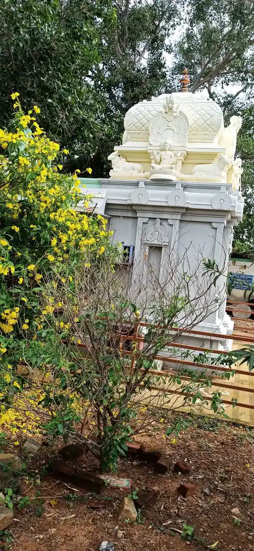 Arulmigu Selvavinayaker Temple, Kannimarkovilpudur, Kalipalayam - 638106 அருள்மிகு செல்வவிநாயகர் திருக்கோயில், Kannimarkovilpudur, Kalipalayam - 638106, Tiruppur - Ancient Temple Architecture and History Image 4