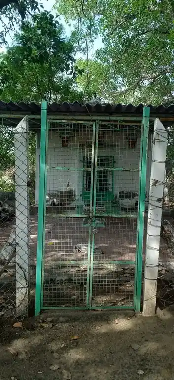 Arulmigu Selvavinayaker Temple, Nadhampalayam - 638706 Temple