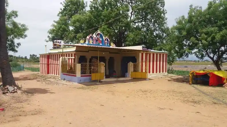 Arulmigu Selviamman Temple, Village Out Side, Melaputhaneri - 627351 அருள்மிகு செல்வியம்மன் திருக்கோயில், Village Out Side, மேல புத்தனேரி - 627351, Tirunelveli - Ancient Temple Architecture and History Image 2