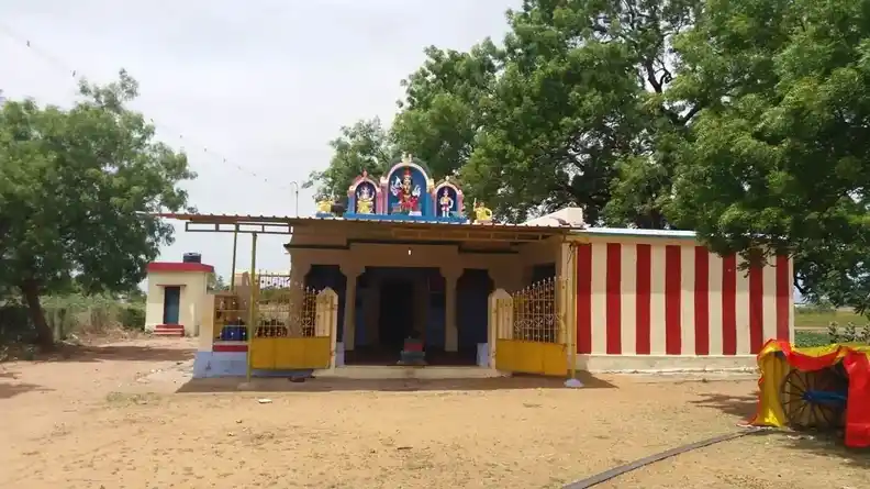 Arulmigu Selviamman Temple, Village Out Side, Melaputhaneri - 627351 அருள்மிகு செல்வியம்மன் திருக்கோயில், Village Out Side, மேல புத்தனேரி - 627351, Tirunelveli - Ancient Temple Architecture and History Image 3