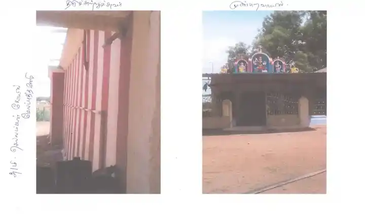 Arulmigu Selviamman Temple, Village Out Side, Melaputhaneri - 627351 அருள்மிகு செல்வியம்மன் திருக்கோயில், Village Out Side, மேல புத்தனேரி - 627351, Tirunelveli - Ancient Temple Architecture and History Image 4