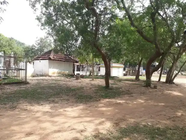 Arulmigu Senbagasaastha Ayyanar Temple, Nampooranipatti - 622209 அருள்மிகு செண்பக சாஸ்தா அய்யனார் திருக்கோயில், நம்பூரணிப்பட்டி - 622209, Pudukkottai - Ancient Temple Architecture and History Image 3