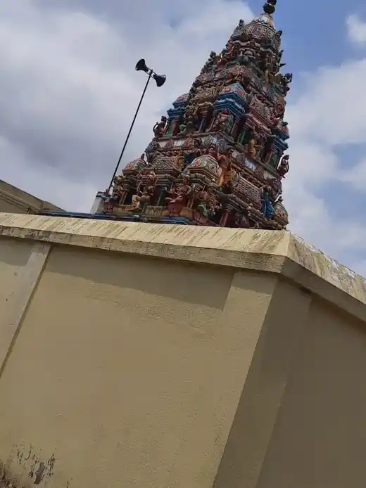 Arulmigu Senbahavalli Mariyamman Temple, Senbaharayanallur - 614806 அருள்மிகு செண்பகவள்ளி மாரியம்மன் திருக்கோயில், செண்பகராயநல்லூர் - 614806, Nagapattinam - Ancient Temple Architecture and History Image 7