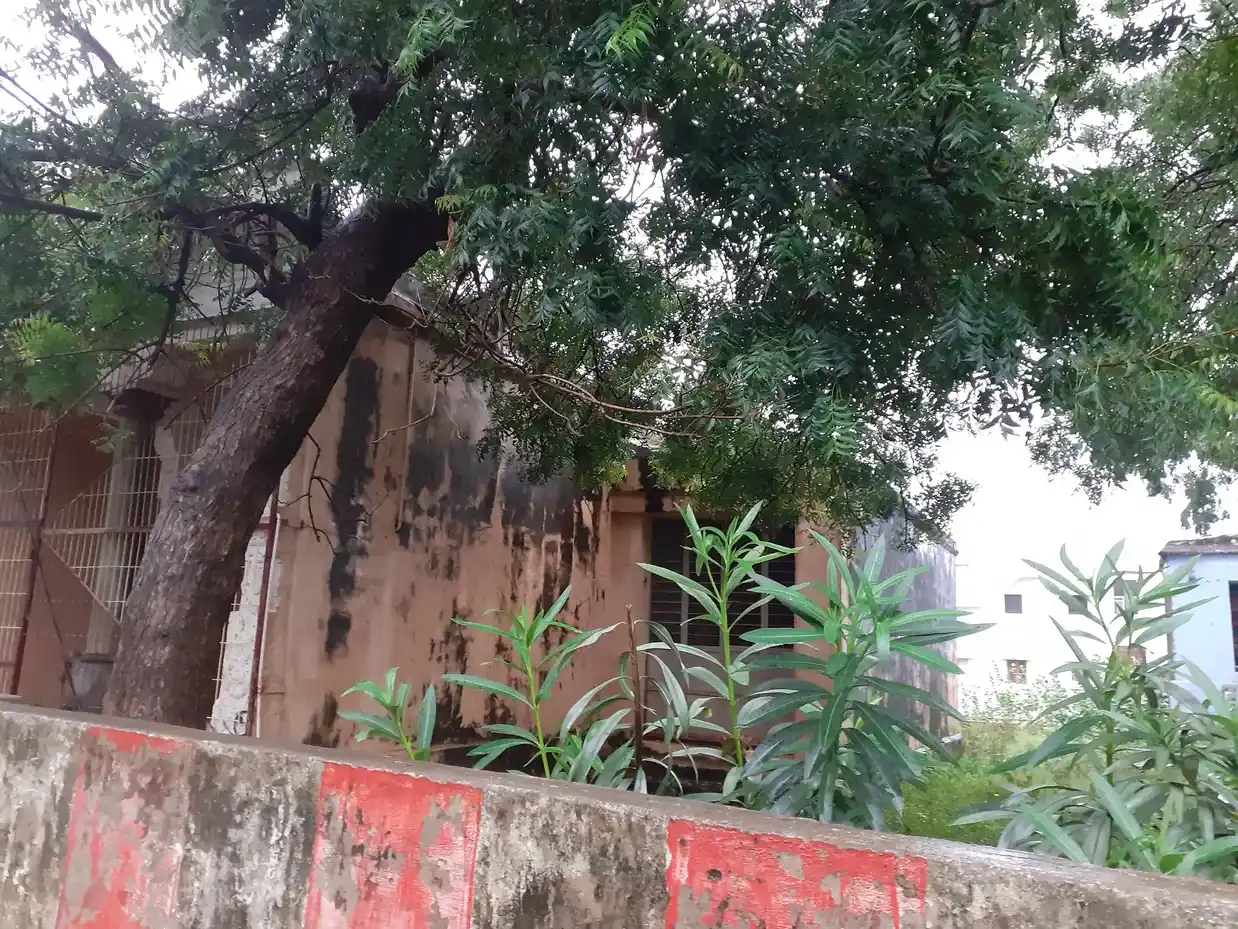 Arulmigu Senbhagavinayagar Temple, Near Mounasamy Madam, Kasimajerpuram - 627802 அருள்மிகு செண்பக விநாயகர் திருக்கோயில், -, Kasimajerpuram - 627802, Tenkasi - Ancient Temple Architecture and History Image 4