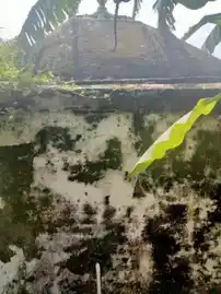 Arulmigu Sendrayaperumal Temple, Anuppur - 636139 அருள்மிகு சென்றாயப்பெருமாள் திருக்கோயில், Anuppur - 636139, Salem - Ancient Temple Architecture and History Image 4