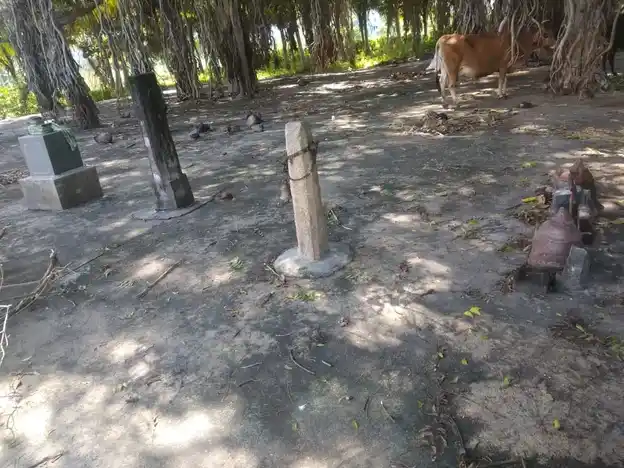 Arulmigu Sendrayaperumal Temple, Nadakottai - 624220