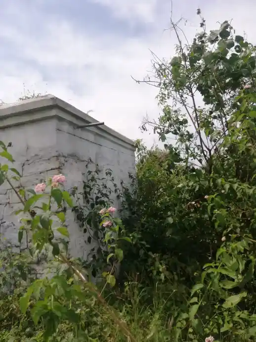 Arulmigu Sendrayaswamy Temple, Kodipalli - 635115 அருள்மிகு சென்றாயசாமி திருக்கோயில், Kodipalli - 635115, Krishnagiri - Ancient Temple Architecture and History Image 4