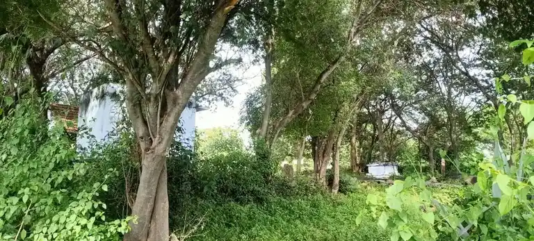 Arulmigu Sendrayaswamy Temple, Masanikuppam - 635121 Temple