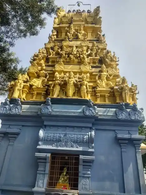 Arulmigu Sengalaniamman Temple, Near Railway Station, Kuppamkandigai - 631209 அருள்மிகு செங்கழனியம்மன் திருக்கோயில், Near Railway Station, Kuppamkandigai - 631209, Tiruvallur - Ancient Temple Architecture and History Image 2