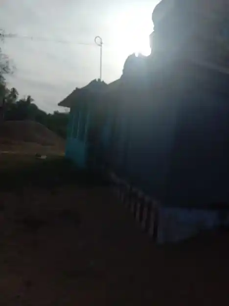 Arulmigu Sengalaniyapar Temple, Segal - 614711 Arulmigu Sengalaniyapar Temple, Segal - 614711, Nagapattinam - Ancient Temple Architecture and History Image 2