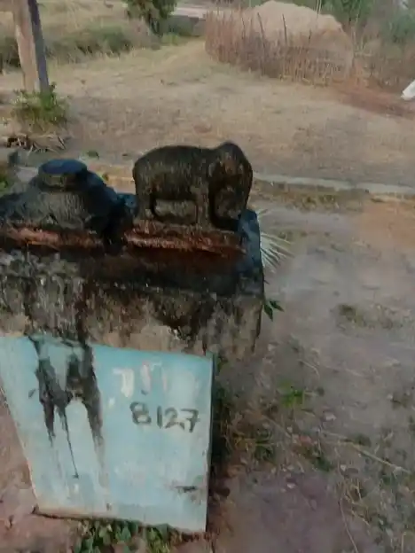 Arulmigu Sengalaniyapar Temple, Segal - 614711 Arulmigu Sengalaniyapar Temple, Segal - 614711, Nagapattinam - Ancient Temple Architecture and History Image 4