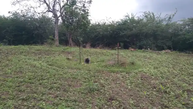 Arulmigu Sengamala Andavar Temple, Ayansuthamalli - 621804