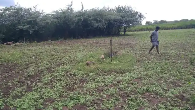 Arulmigu Sengamala Andavar Temple, Ayansuthamalli - 621804 அருள்மிகு செங்கமல ஆண்டவர் திருக்கோயில், அயன்சுத்தமள்ளி - 621804, Ariyalur - Ancient Temple Architecture and History Image 2