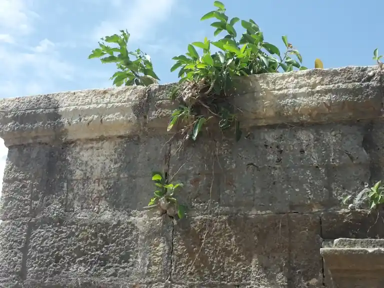 Arulmigu Sengamalai Andavar Temple, Nerinjikorai - 621704 Arulmigu Sengamalai Andavar Temple,  - 621704, Ariyalur - Ancient Temple Architecture and History Image 4