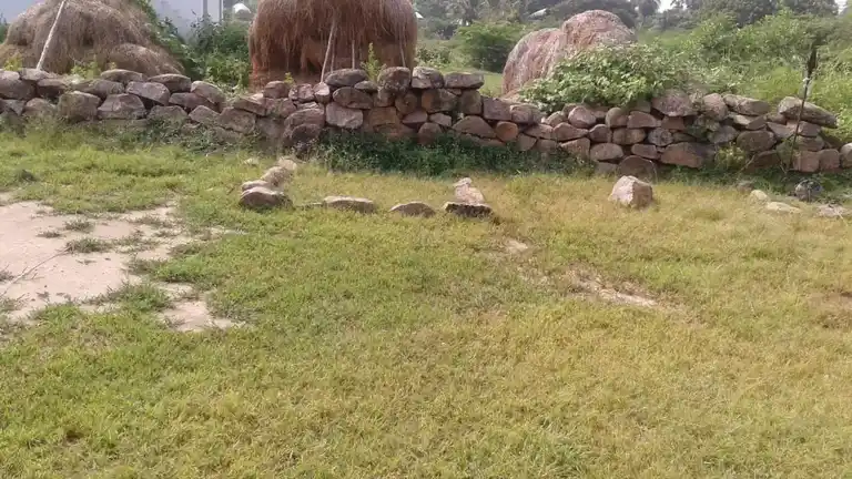 Arulmigu Sengamalayan Temple, Punjaisangenthi - 621704 Arulmigu Sengamalayan Temple, Punjaisangenthi - 621704, Thiruchirappalli - Ancient Temple Architecture and History Image 2