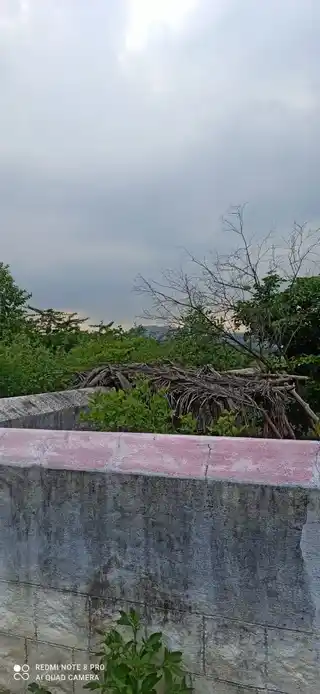 Arulmigu Sengamamuneeswarar Temple, Palayakottai - 621303 Arulmigu Sengamamuneeswarar Temple, Palayakottai - 621303, Thiruchirappalli - Ancient Temple Architecture and History Image 3