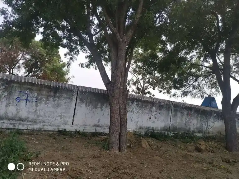 Arulmigu Sengamamunishwarar Temple, Siruvayalur - 621706 Temple