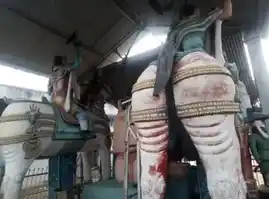 Arulmigu Sengamamunivar Temple, Karikali - 621211 Arulmigu Sengamamunivar Temple, Karikali - 621211, Thiruchirappalli - Ancient Temple Architecture and History Image 2