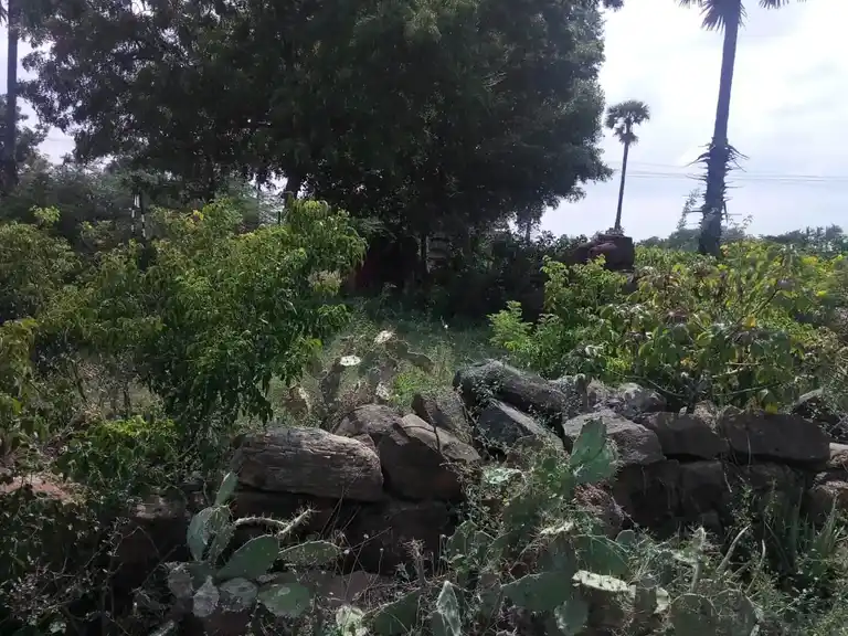 Arulmigu Sengamamuniyanar Temple, Siruganur - 621105 Temple