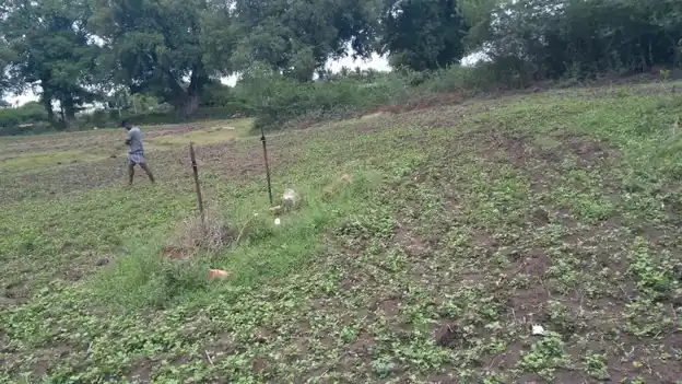 Arulmigu Sengamuni Temple, Parathur - 621715 Arulmigu Sengamuni Temple, Parathur - 621715, Ariyalur - Ancient Temple Architecture and History Image 4