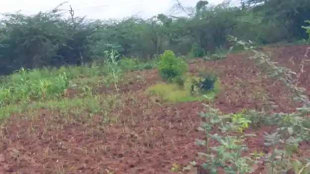Arulmigu Sengamuniyanar Temple, Karuvidaicheri - 621707 Arulmigu Sengamuniyanar Temple,  - 621707, Ariyalur - Ancient Temple Architecture and History Image 2