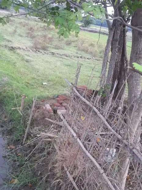 Arulmigu Sengamuniyanar Temple, Kulamanickam - 621722 அருள்மிகு செங்க முனியனார் திருக்கோயில், Kulamanickam - 621722, Ariyalur - Ancient Temple Architecture and History Image 4