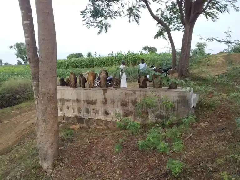 Arulmigu Sengamuniyanar Templed, Koothur - 621713 அருள்மிகு செங்கமுனியனார் திருக்கோயில், Koothur - 621713, Perambalur - Ancient Temple Architecture and History Image 3