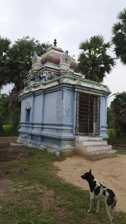 Arulmigu Sengapidariamman Temple, Amarakundhi - 636503 அருள்மிகு செங்கப்பிடாரியம்மன் திருக்கோயில், Amarakundhi - 636503, Salem - Ancient Temple Architecture and History Image 3