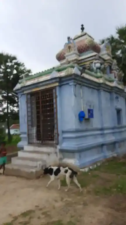 Arulmigu Sengapidariamman Temple, Amarakundhi - 636503 அருள்மிகு செங்கப்பிடாரியம்மன் திருக்கோயில், Amarakundhi - 636503, Salem - Ancient Temple Architecture and History Image 4