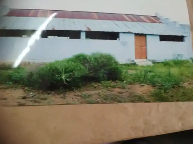 Arulmigu Sengapidariamman Temple, Ealur, Gobichettipalayam - 638458 Arulmigu Sengapidariamman Temple, Ealur, Gobichettipalayam - 638458, Erode - Ancient Temple Architecture and History Image 4