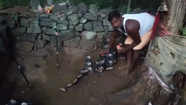 Arulmigu Sengapidariyamman Temple, Chinnapallamparai, Pallamparai - 637409 அருள்மிகு செங்கபிடாரியம்மன் திருக்கோயில், Chinnapallamparai, Pallamparai - 637409, Namakkal - Ancient Temple Architecture and History Image 2