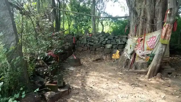 Arulmigu Sengapidariyamman Temple, Chinnapallamparai, Pallamparai - 637409 அருள்மிகு செங்கபிடாரியம்மன் திருக்கோயில், Chinnapallamparai, Pallamparai - 637409, Namakkal - Ancient Temple Architecture and History Image 3