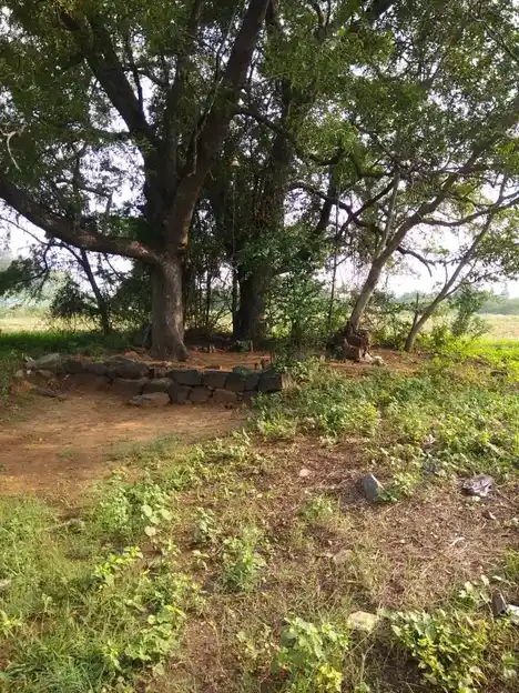 Arulmigu Sengapidariyamman Temple, Marayipalayam - 638459 Temple