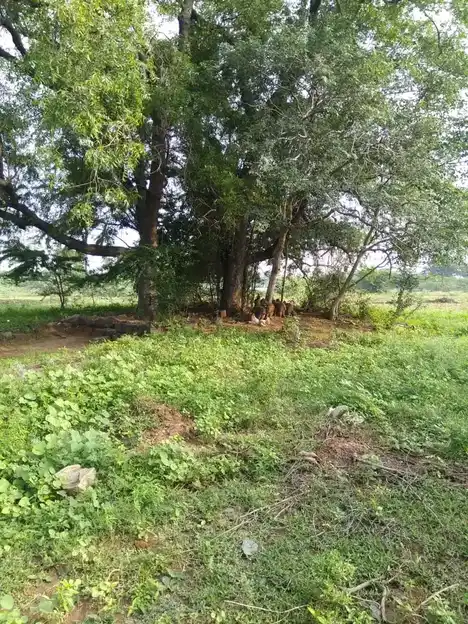 Arulmigu Sengapidariyamman Temple, Marayipalayam - 638459 அருள்மிகு செங்கப்பிடாரி அம்மன் திருக்கோயில், Marayipalayam - 638459, Erode - Ancient Temple Architecture and History Image 2