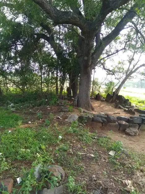 Arulmigu Sengapidariyamman Temple, Marayipalayam - 638459 அருள்மிகு செங்கப்பிடாரி அம்மன் திருக்கோயில், Marayipalayam - 638459, Erode - Ancient Temple Architecture and History Image 4