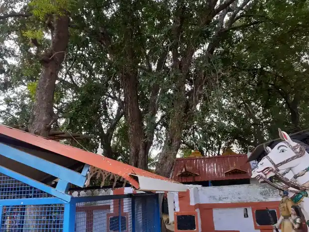Arulmigu Sengattu Muniappan Temple, Saavadipalayam - 638104 Temple