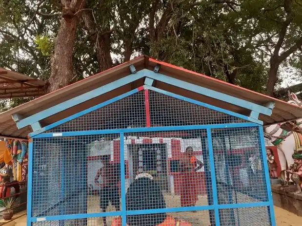 Arulmigu Sengattu Muniappan Temple, Saavadipalayam - 638104 அருள்மிகு செங்காட்டு முனியப்பன் திருக்கோயில், Saavadipalayam - 638104, Erode - Ancient Temple Architecture and History Image 2