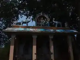 Arulmigu Sengavalli Ayyanar Temple, Aalavayal - 622401