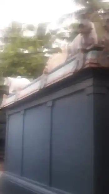 Arulmigu Sengazhanipillayar Temple, Keelbhuvanagiri - 608601 அருள்மிகு செங்கழனி, பிள்ளையார் கோயில், Keelbhuvanagiri - 608601, Cuddalore - Ancient Temple Architecture and History Image 3