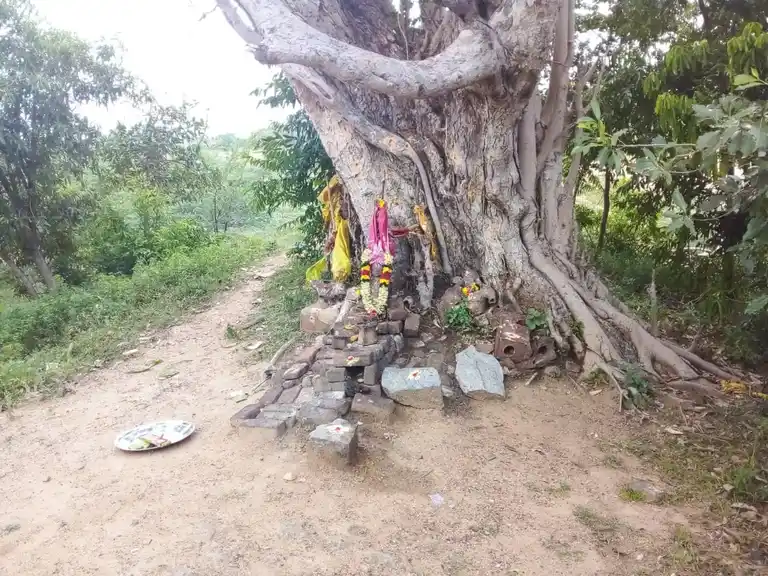 Arulmigu Sengidakaran Karaiperumal Temple, Karaiyur - 622002 அருள்மிகு செங்கிடாகாரன் கரைப்பெருமாள் திருக்கோயில், Karaiyur - 622002, Pudukkottai - Ancient Temple Architecture and History Image 4