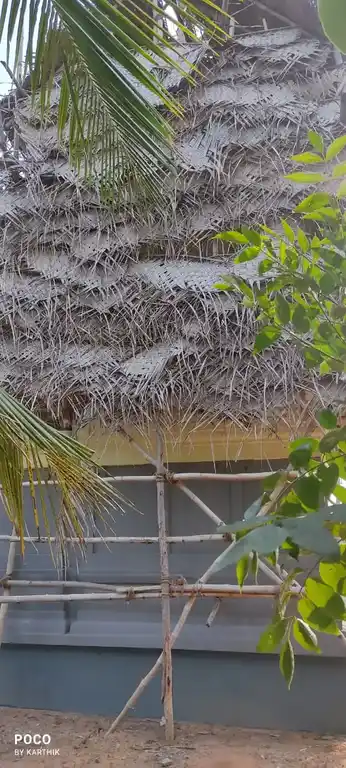 Arulmigu Sengiyaan Temple, Ollanur - 614620 அருள்மிகு செங்கியான் திருக்கோயில், Ollanur - 614620, Pudukkottai - Ancient Temple Architecture and History Image 4