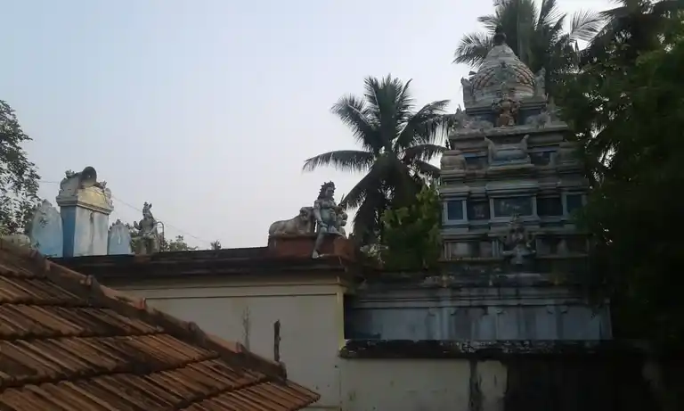 Arulmigu Sengluneeramman Temple, Nayakkankottai - 614019 அருள்மிகு செங்கழுநீர் அம்மன் கோயில், Nayakkankottai - 614019, Thanjavur - Ancient Temple Architecture and History Image 3