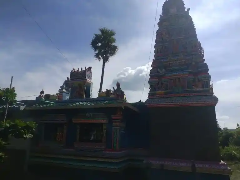 Arulmigu Senkaliamman Pattalamman Temple, Near Ariyakulam, Mottupatti - 635202 அருள்மிகு செங்காளியம்மன் பட்டாளம்மன் திருக்கோயில், Near Ariyakulam, Mottupatti - 635202, Dharmapuri - Ancient Temple Architecture and History Image 5