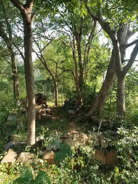 Arulmigu Senkaliamman Temple, Aranganur - 636451