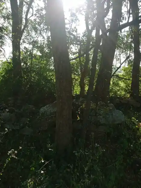 Arulmigu Senkaliamman Temple, Aranganur - 636451 அருள்மிகு செங்காளியம்மன் திருக்கோயில், Aranganur - 636451, Salem - Ancient Temple Architecture and History Image 2