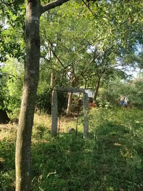 Arulmigu Senkaliamman Temple, Aranganur - 636451 அருள்மிகு செங்காளியம்மன் திருக்கோயில், Aranganur - 636451, Salem - Ancient Temple Architecture and History Image 4